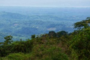 ¿Chespiritos (cerro de la muerte) a Quepos?