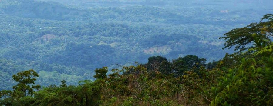 ¿Chespiritos (cerro de la muerte) a Quepos?