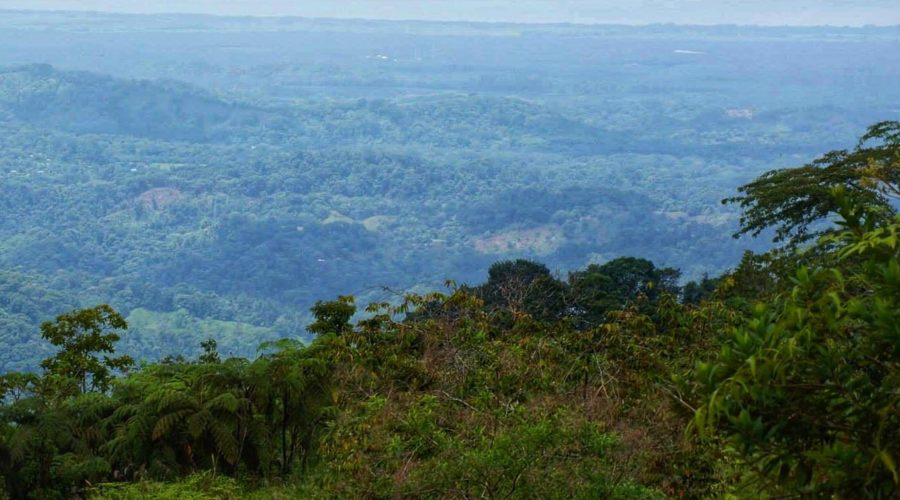 ¿Chespiritos (cerro de la muerte) a Quepos?